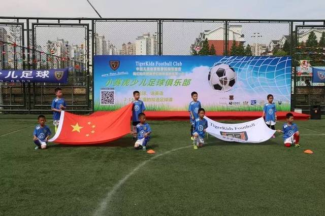 训练后的心 训练后的心